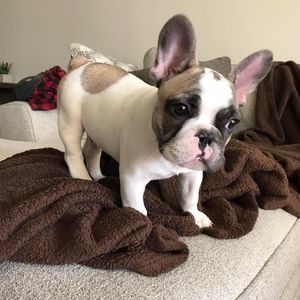 Meet your Posher, Cassie